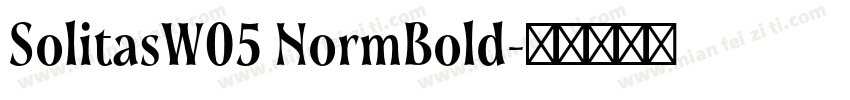 SolitasW05 NormBold字体转换